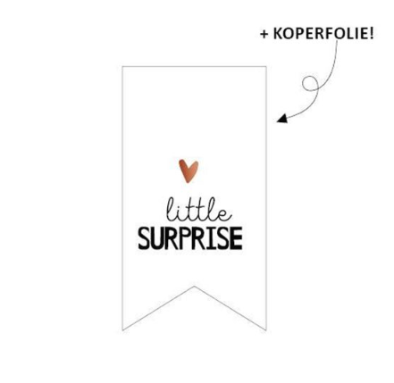 Sticker | Little surprise | 5 stuks