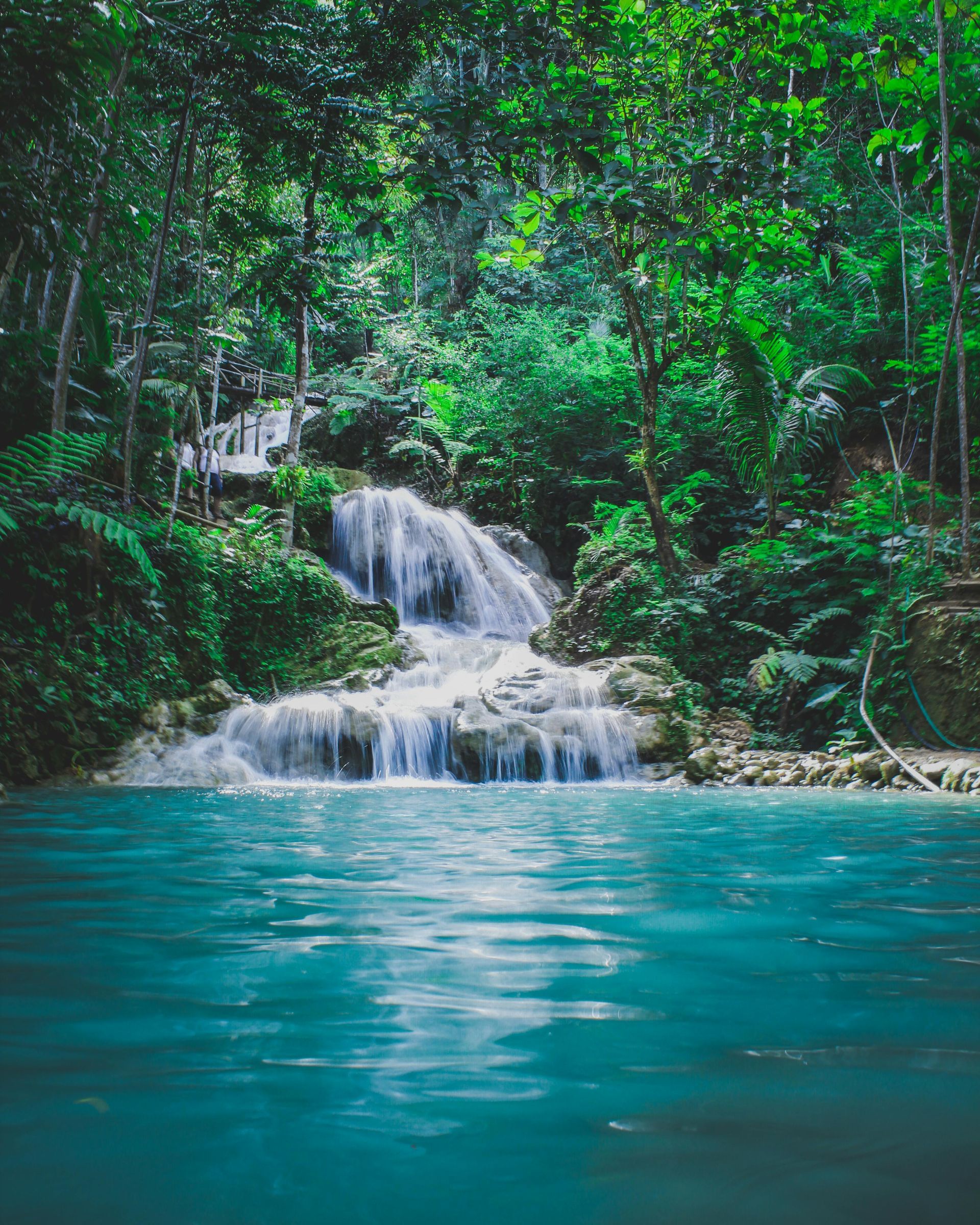 Waterfall cascading into a turquoise pool, surrounded by lush green foliage in a forest setting.