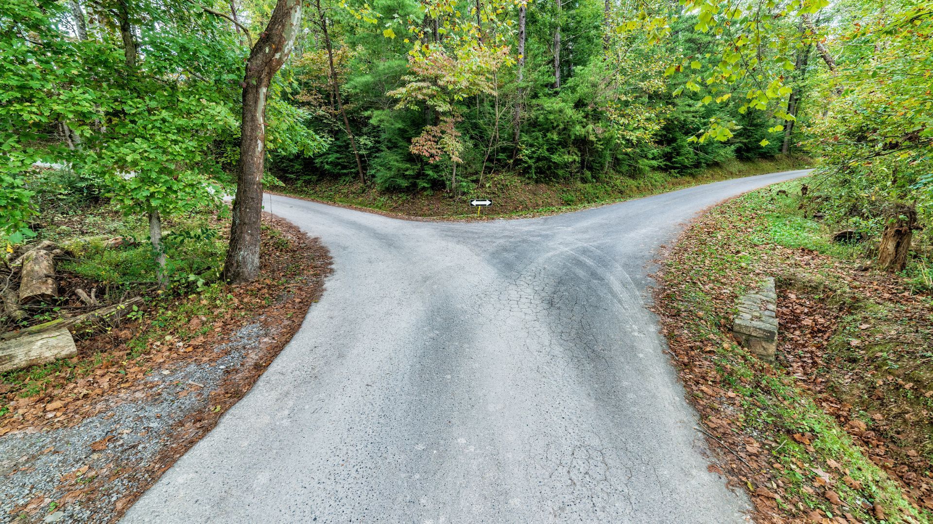 Bankruptcy vs. Debt Settlement vs. Lawsuits