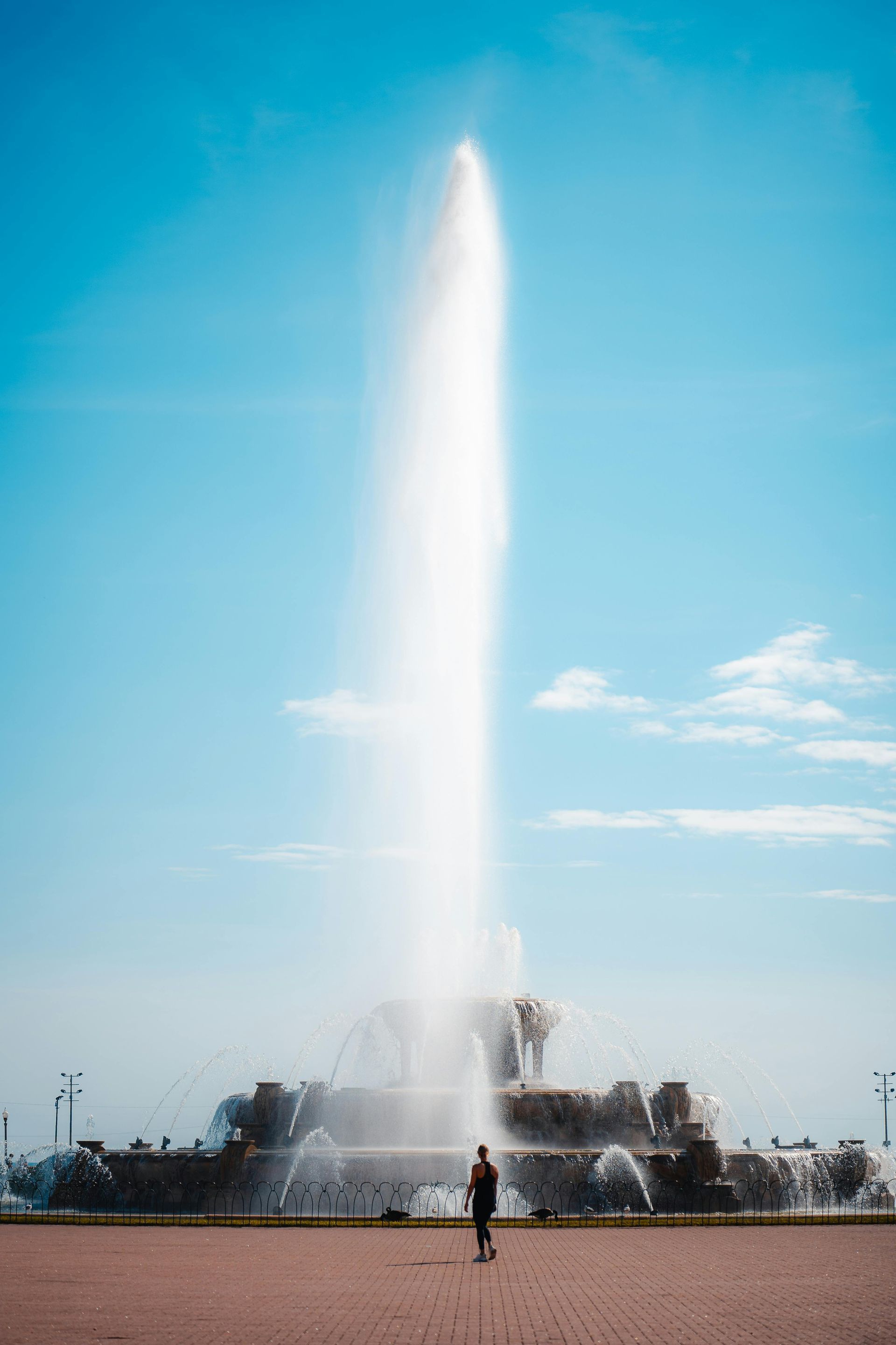 A man is standing in front of a large fountain.