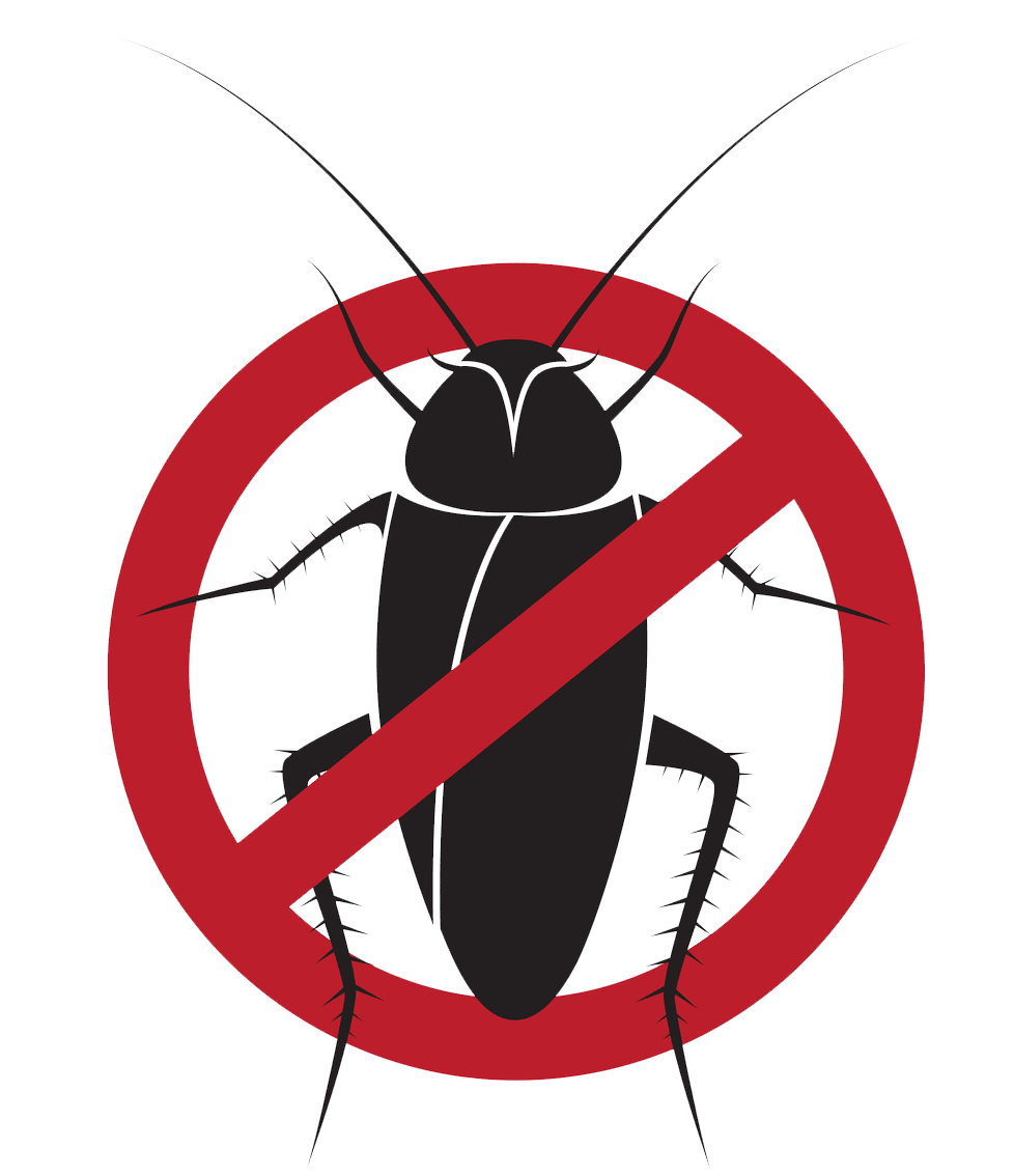 Cockroach - Cockroach control in Waterloo, IA