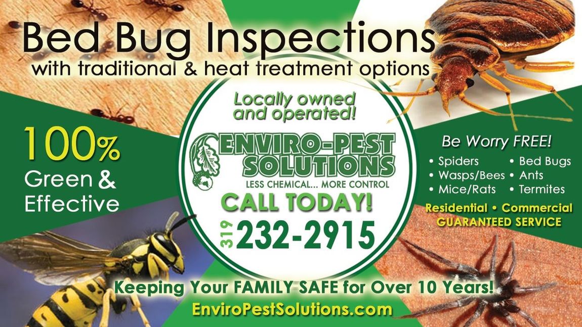 Pest Control - Waterloo, Cedar Rapids, Iowa City - Enviro-Pest Solutions