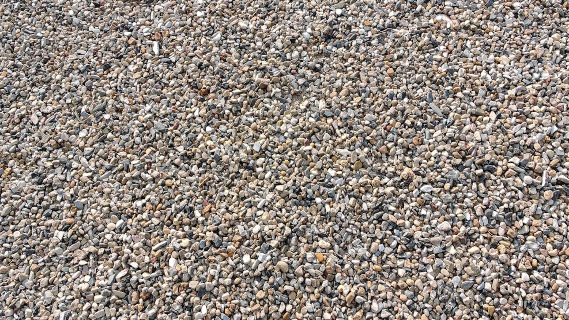 Primer plano de un pequeño agregado de grava de color claro.