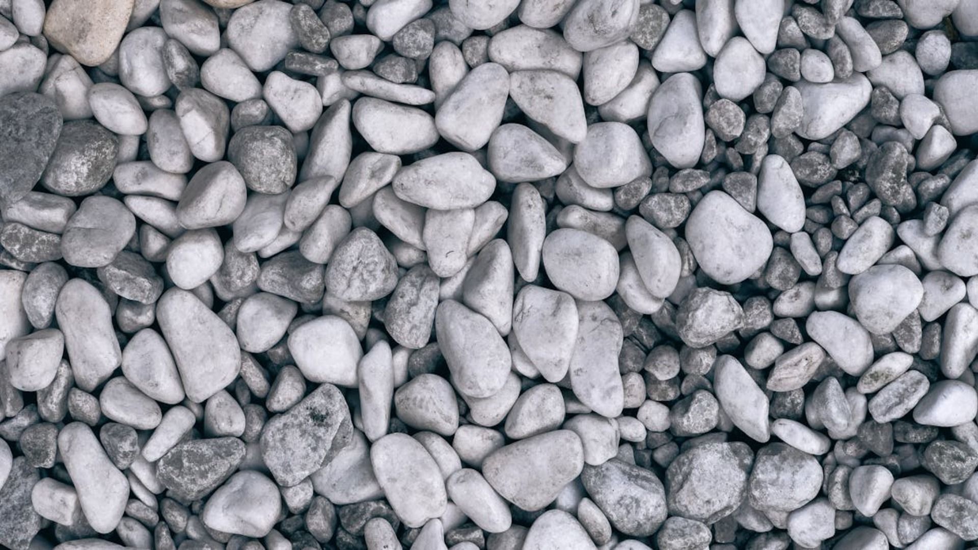 Primer plano de una colección de piedras de río lisas, grises y blancas.