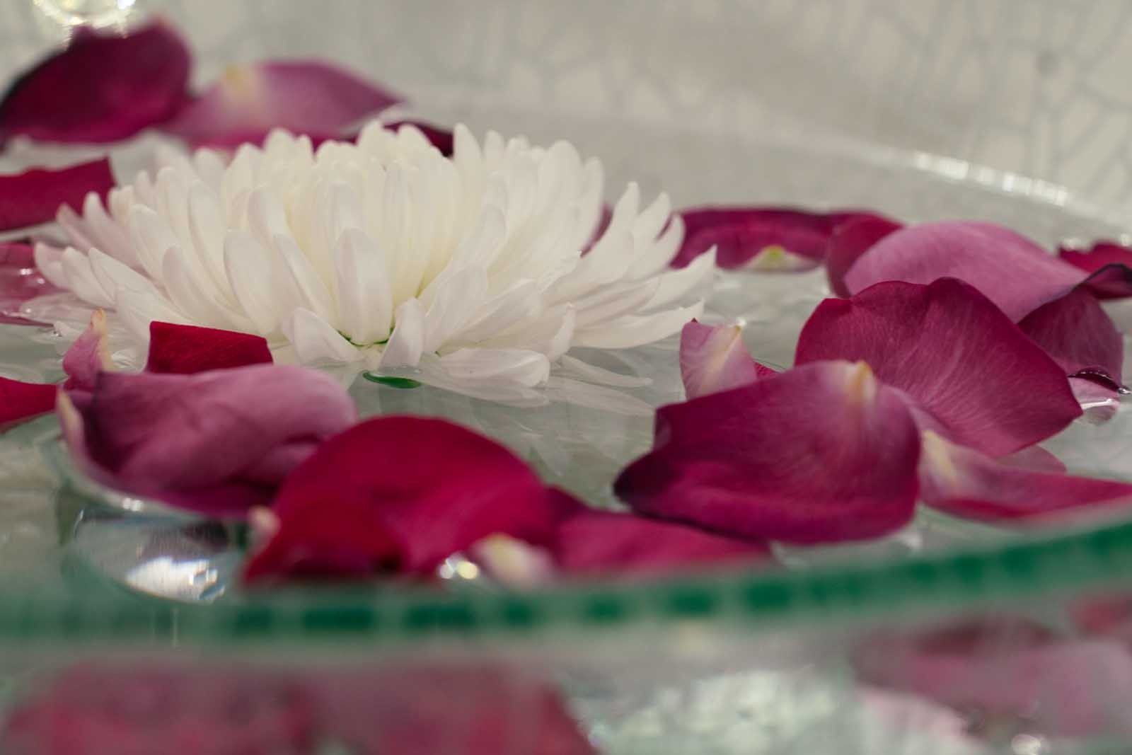 White flower floats among red and pink rose petals in a clear glass bowl of water.