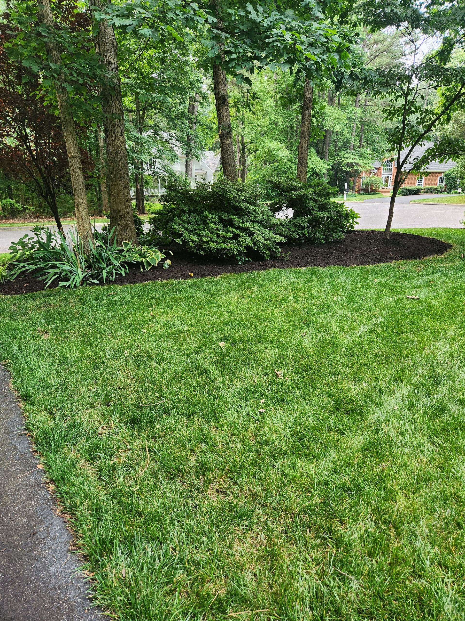 Clean Area — Hopewell, VA — T.A. Lawncare