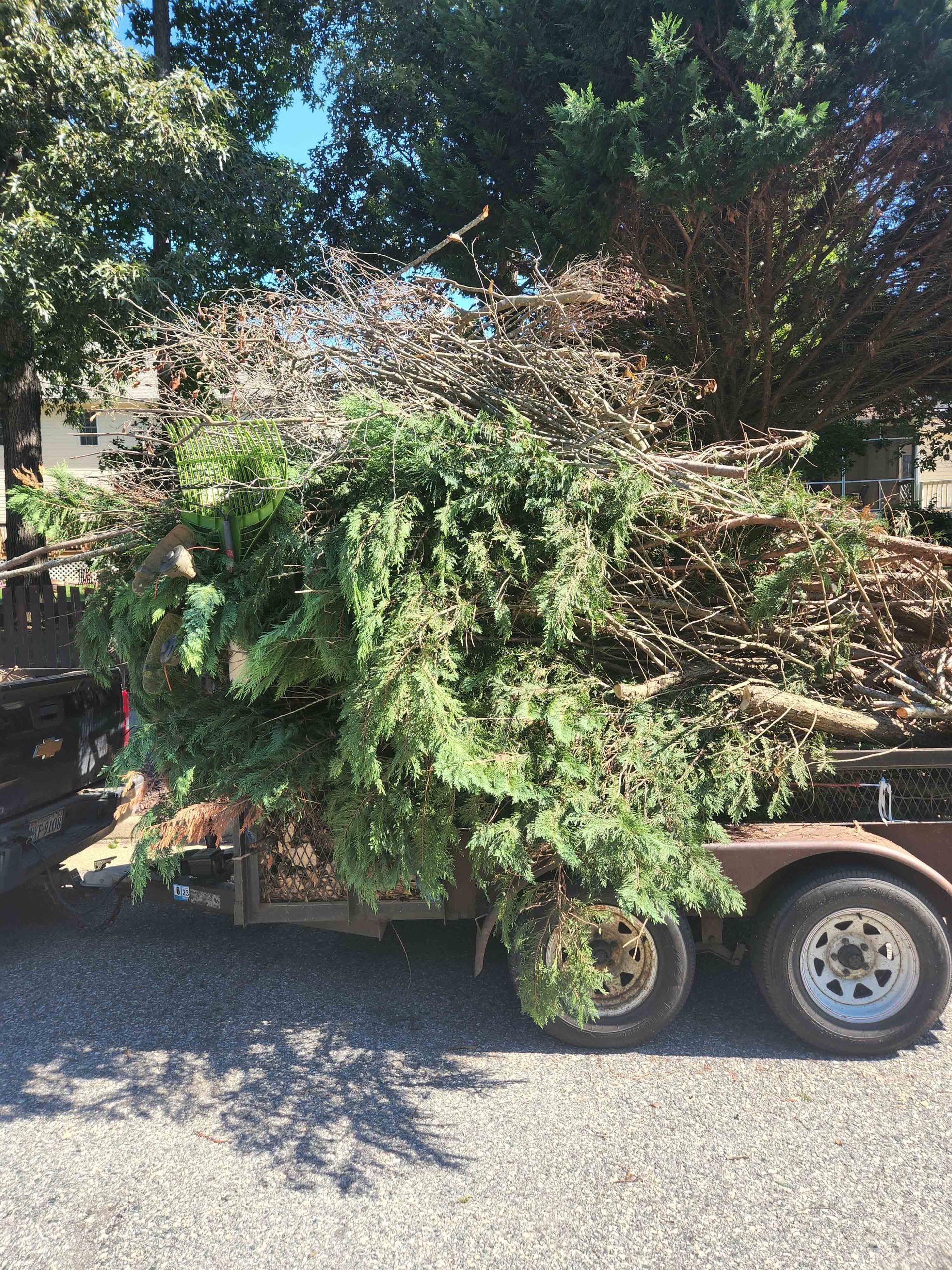 Cut Down Trees — Hopewell, VA — T.A. Lawncare