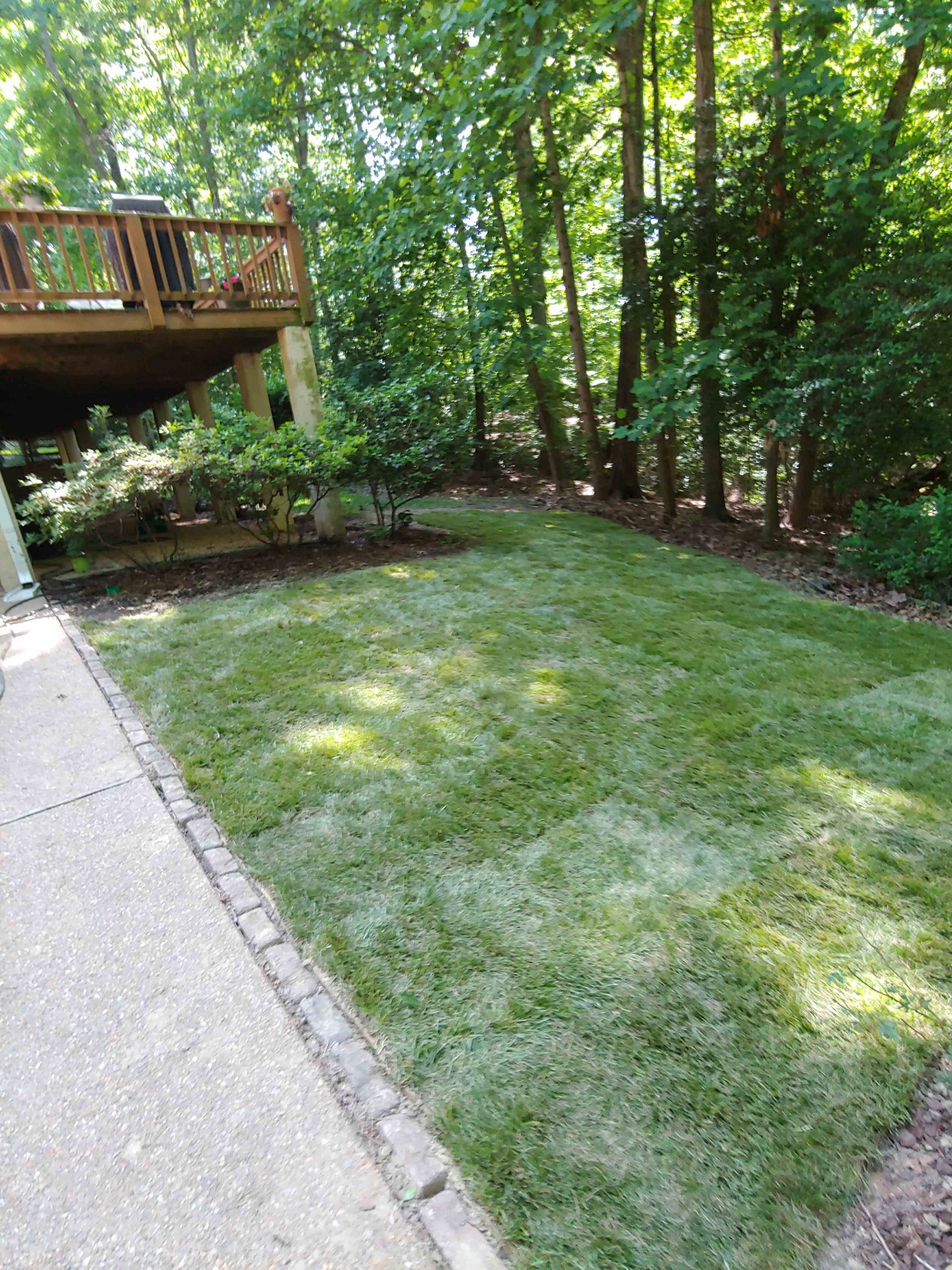 House Artificial Grass — Hopewell, VA — T.A. Lawncare