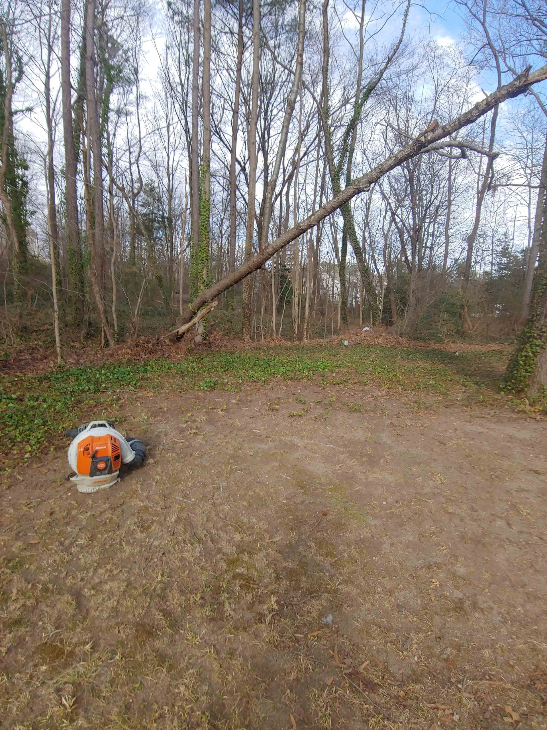 Cutting Down Large Trees — Hopewell, VA — T.A. Lawncare