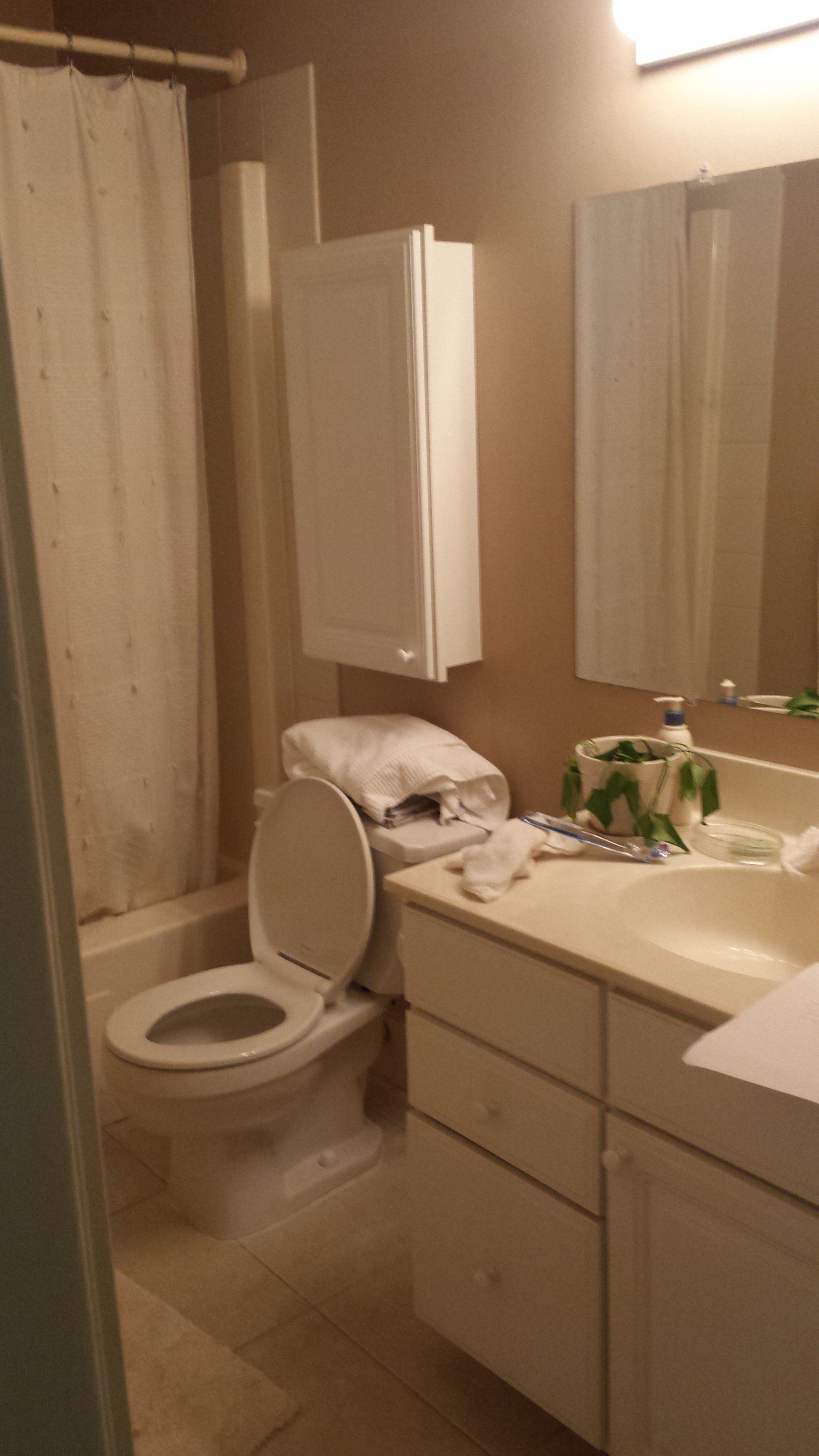 A bathroom with a toilet , sink and mirror.