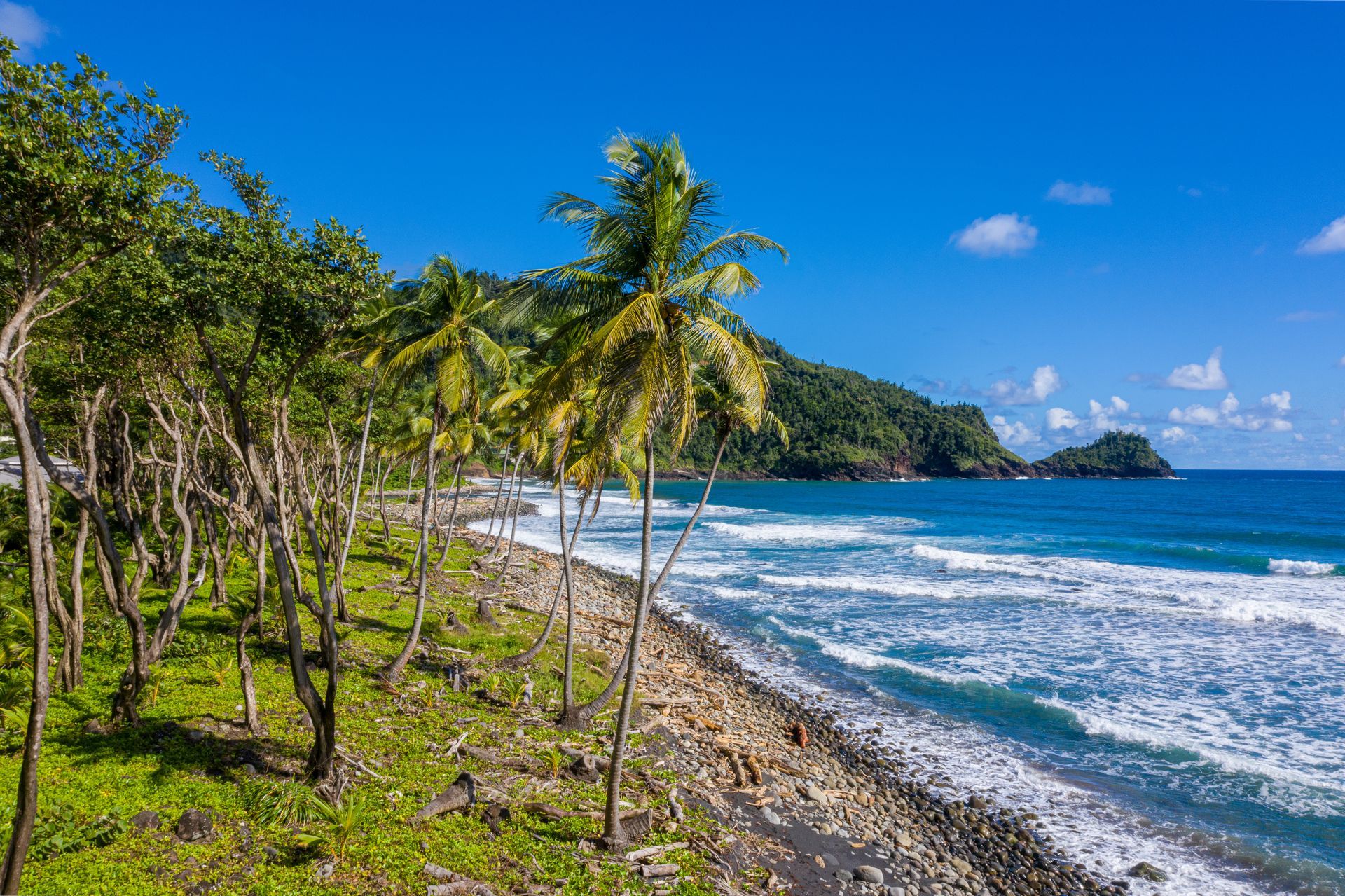 An Experience to Remember at Rosalie Bay Eco Resort, Dominica. Turtle Sanctuary.
