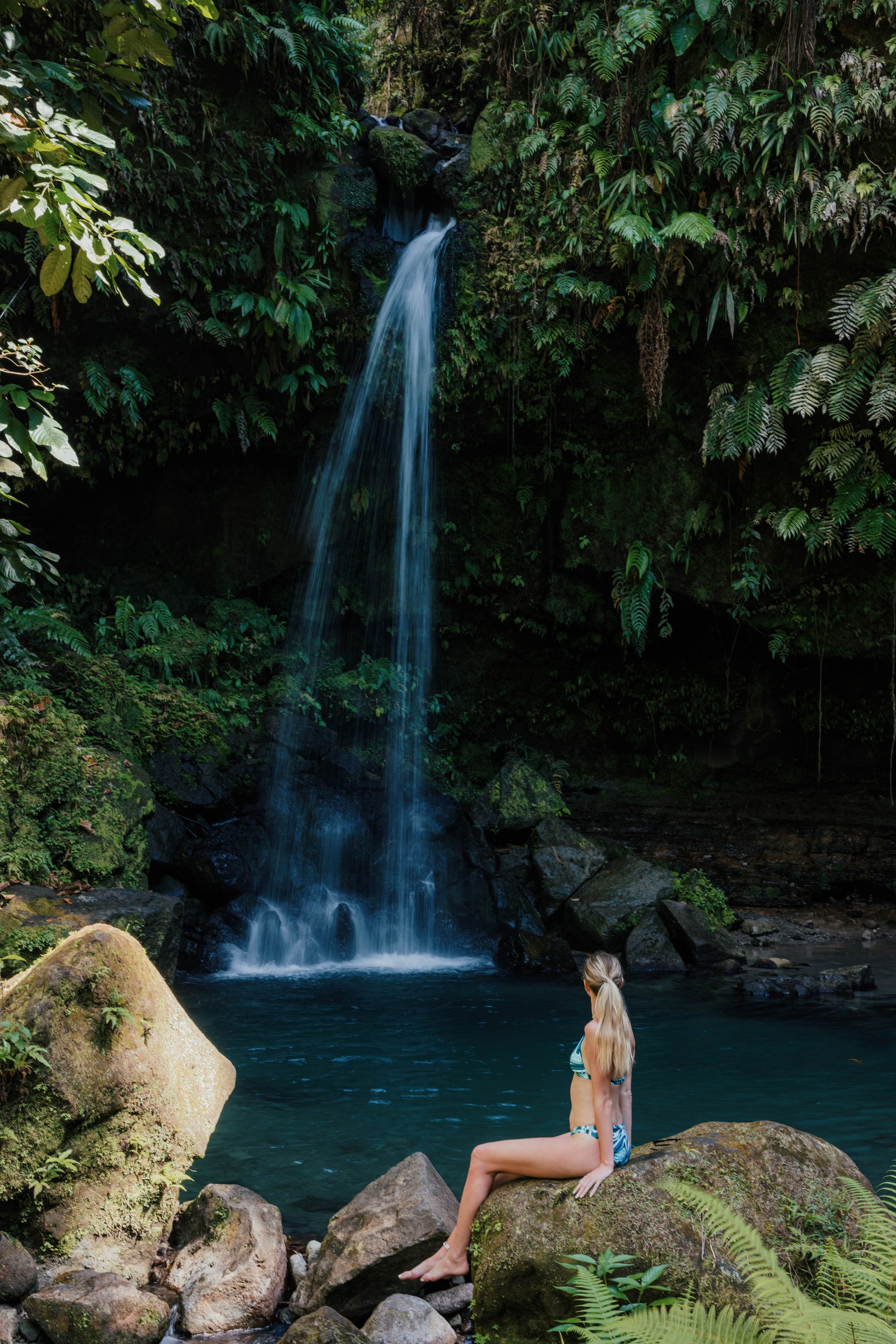 An Experience to remember at Rosalie Bay Resort, Dominica Eco Resort, Caribbean Wellness Retreat, Turtle Nesting Beach, Rosalie River.
