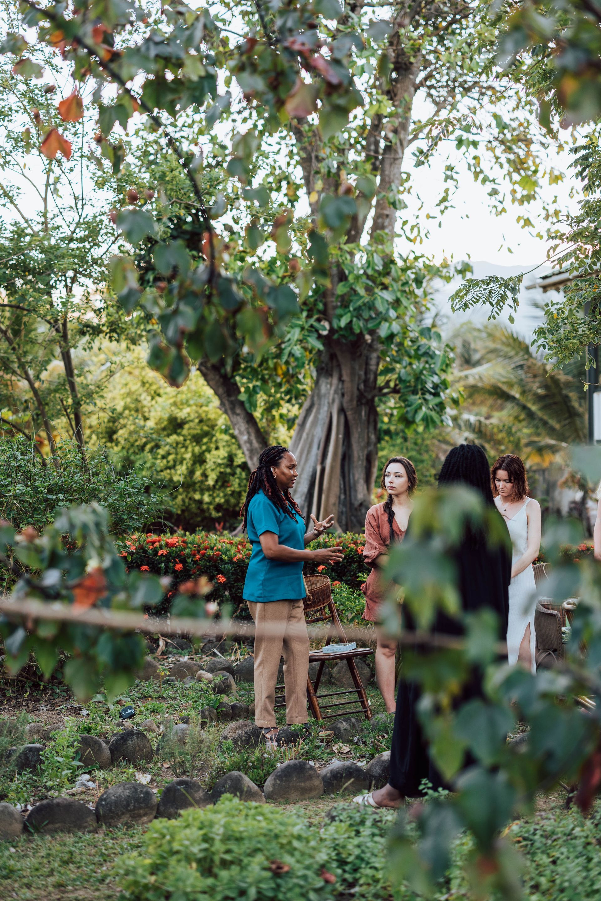 An Experience to remember at Rosalie Bay Resort, Dominica Eco Resort, Caribbean Wellness Retreat, Turtle Nesting Beach, Rosalie River.