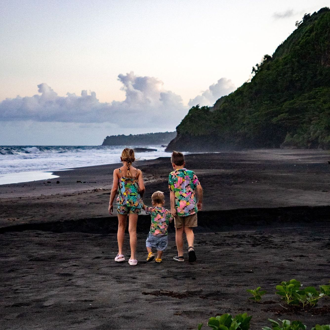 Experience the wonder of nature as three endangered sea turtle species on Rosalie Bay’s protected black sand beach.