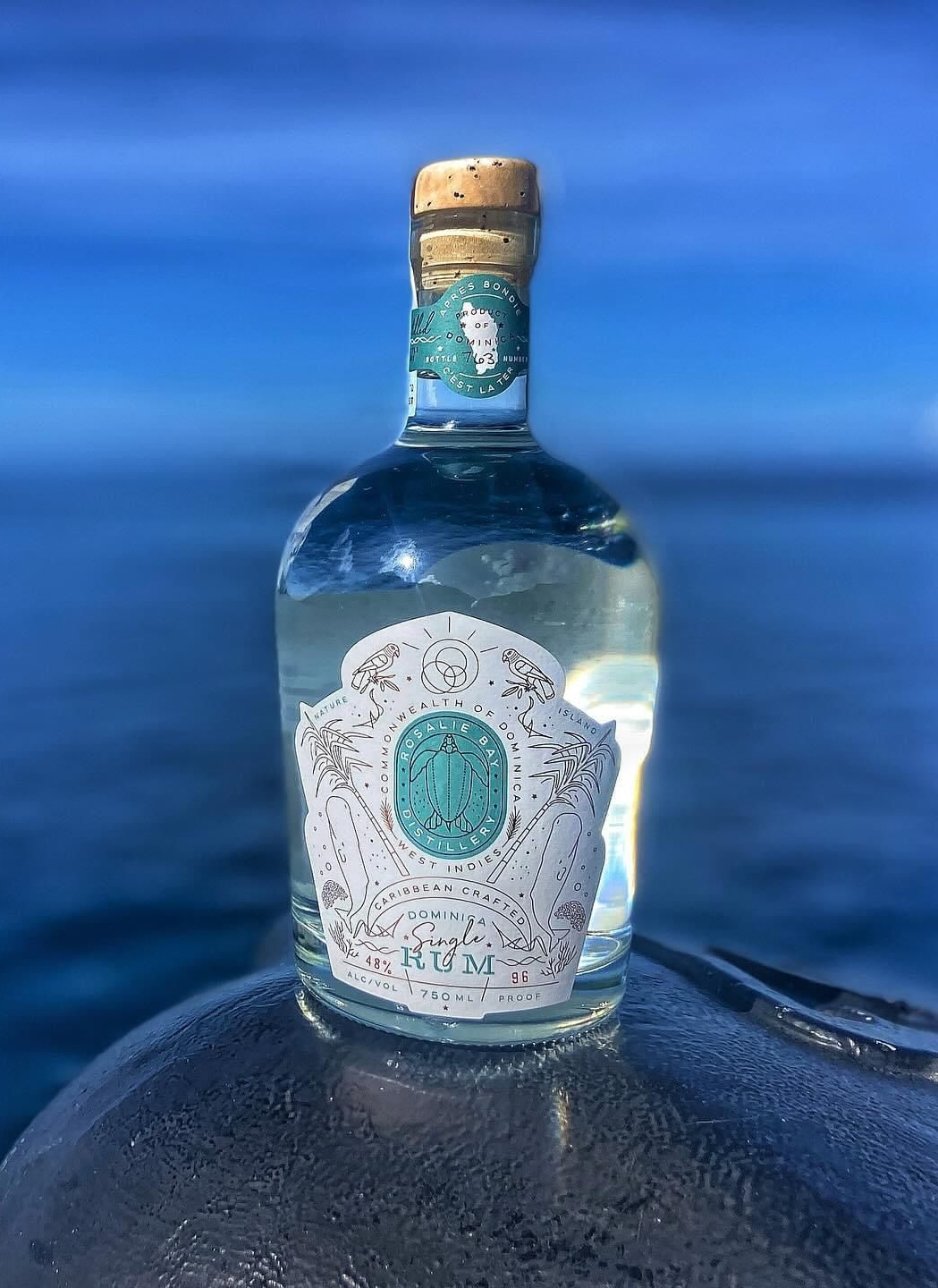 Experience the wonder of nature as three endangered sea turtle species on Rosalie Bay’s protected beach with Rendy Kerr.