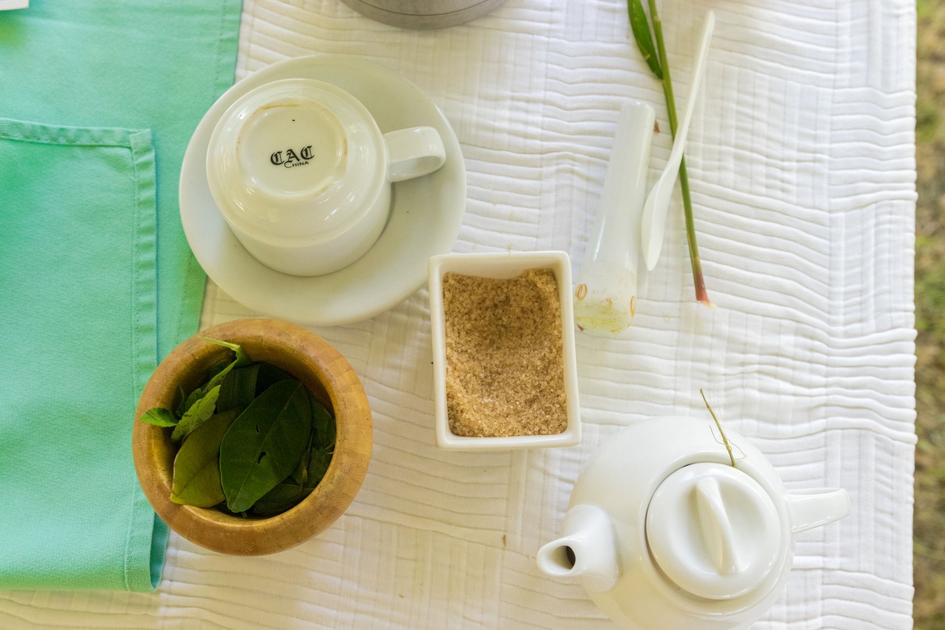 An Experience to remember at Rosalie Bay Resort, Dominica Eco Resort, Caribbean Wellness Retreat, Turtle Nesting Beach, Rosalie River.