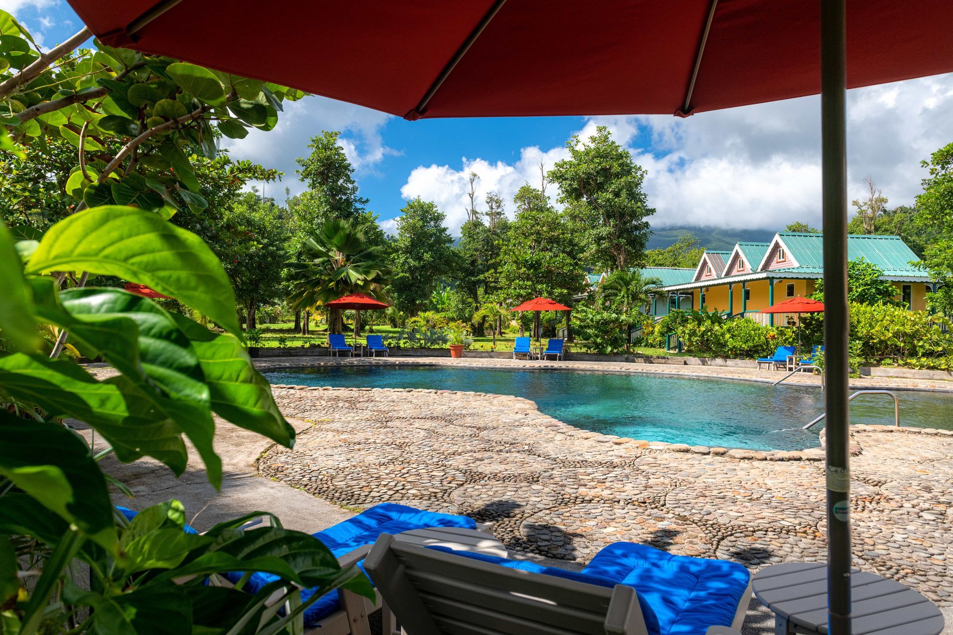 An Experience to Remember at Rosalie Bay Eco Resort, Dominica. Wellness retreat with pool.