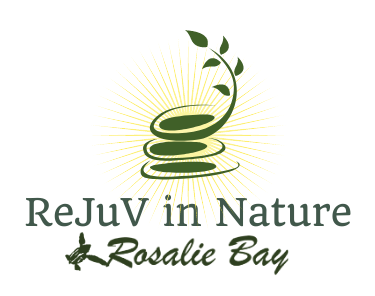 Rosalie Bay Eco Resort & Spa, Dominica, and renew on a unique Caribbean vacation with our REJUVINATURE® program.