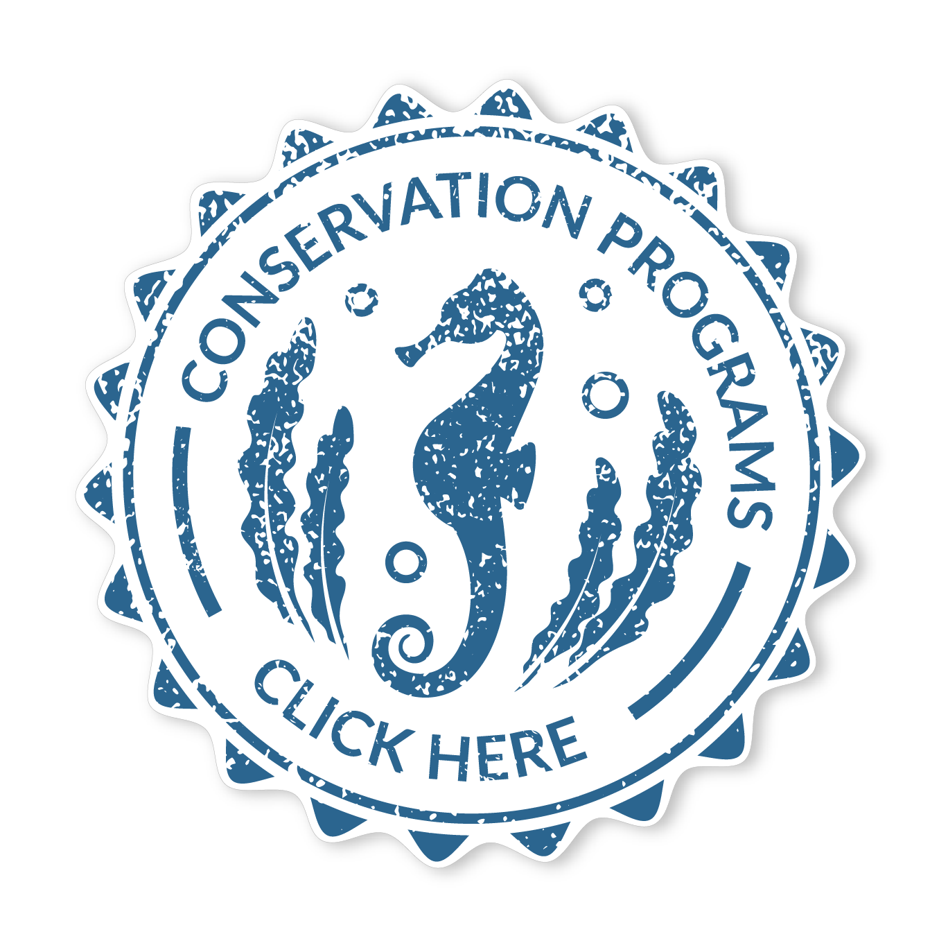 Conservation Programs at Rosalie Bay Eco Resort, Dominica. Best New Hotel.