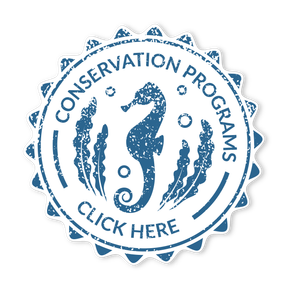 Conservation Programs at Rosalie Bay Eco Resort, Dominica. Best New Hotel.