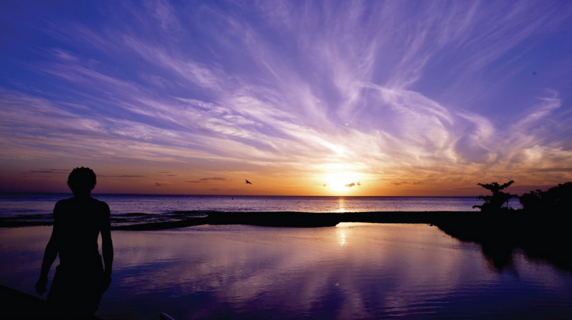 Offers & Packages to make the most of your stay at Rosalie Bay Eco Resort & Spa, enhance your Caribbean getaway.