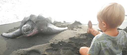 An Experience to remember at Rosalie Bay Resort, Dominica