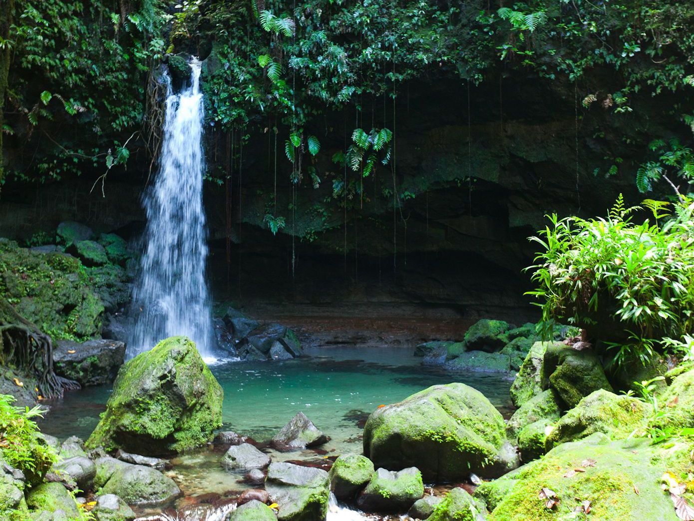 Explore the nature island and discover the breathtaking beauty of Dominica, the Caribbean’s Nature Island.