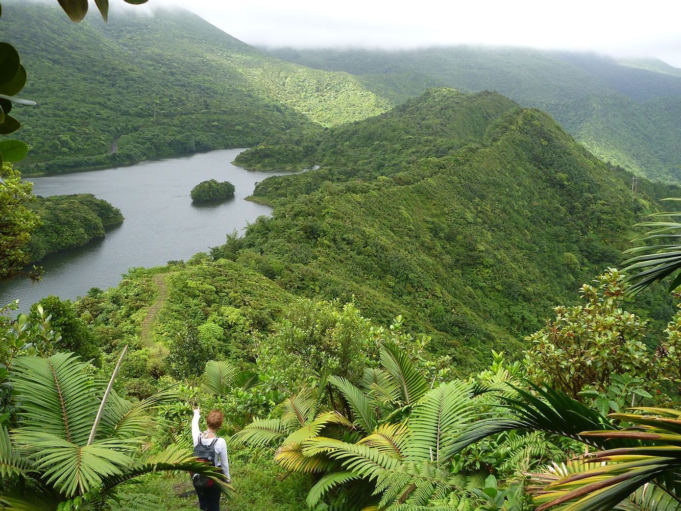 Explore the nature island and discover the breathtaking beauty of Dominica, the Caribbean’s Nature Island.