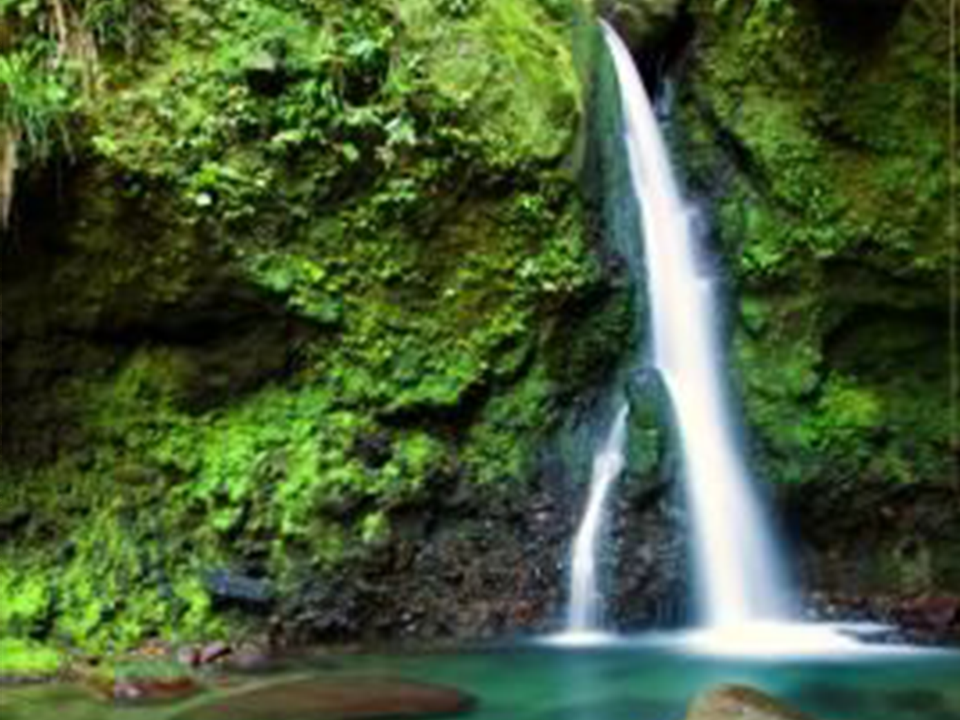 Explore the nature island and discover the breathtaking beauty of Dominica, the Caribbean’s Nature Island.