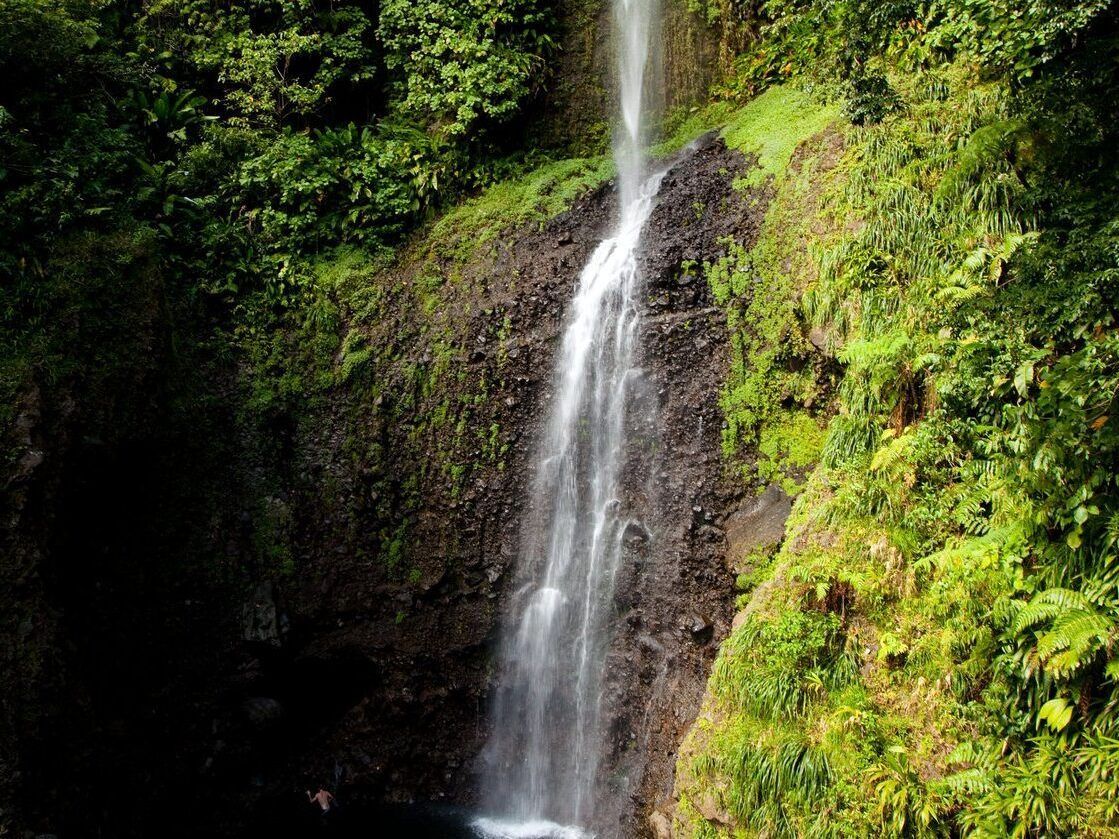 Explore the nature island and discover the breathtaking beauty of Dominica, the Caribbean’s Nature Island.