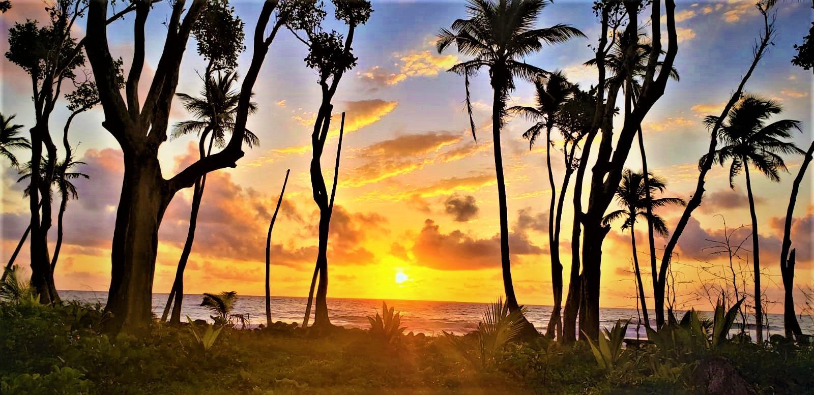 An Experience to remember at Rosalie Bay Resort, Dominica Eco Resort, Caribbean Wellness Retreat, Turtle Nesting Beach, Rosalie River.