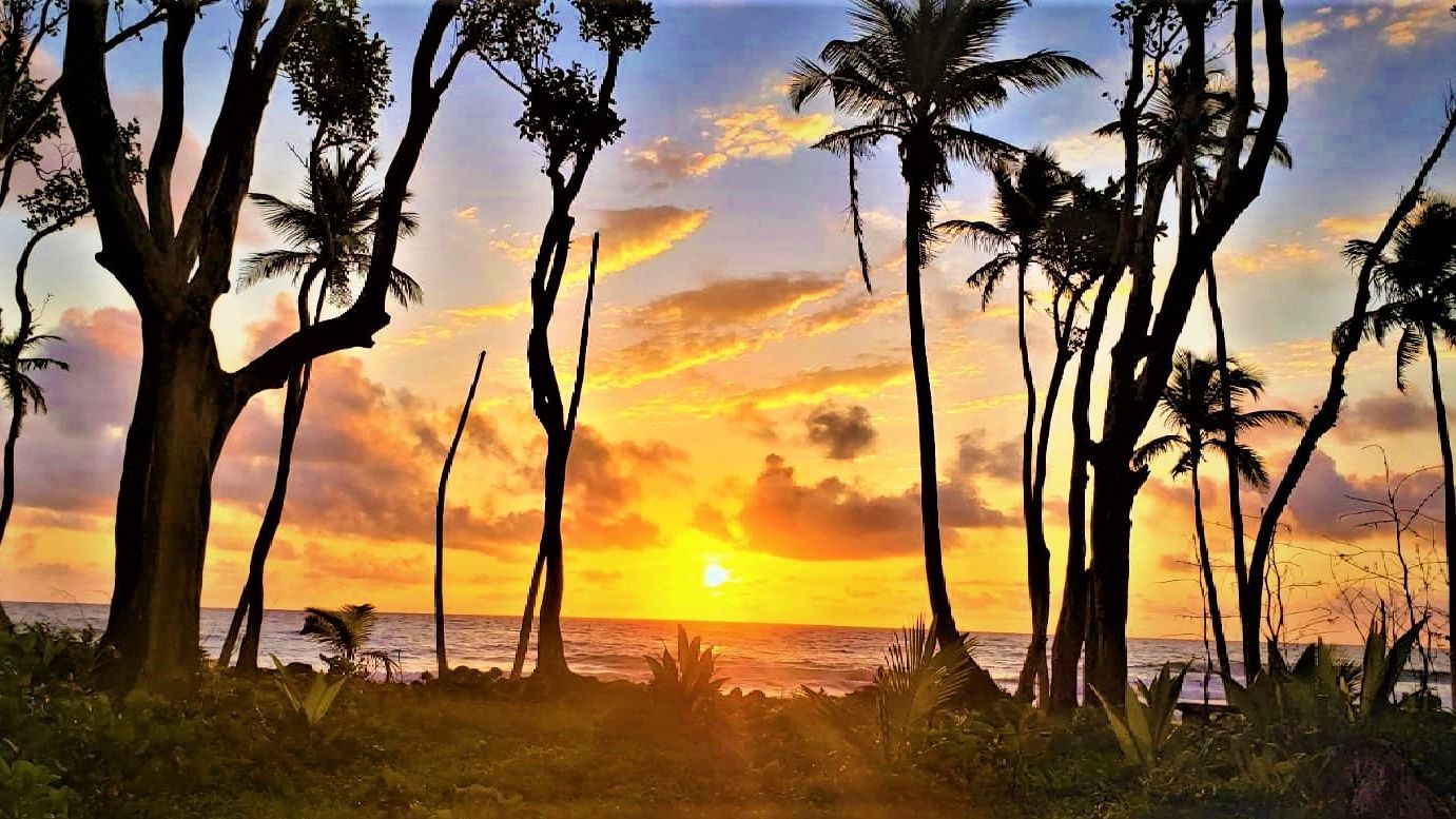 Offers & Packages to make the most of your stay at Rosalie Bay Eco Resort & Spa, enhance your Caribbean getaway.