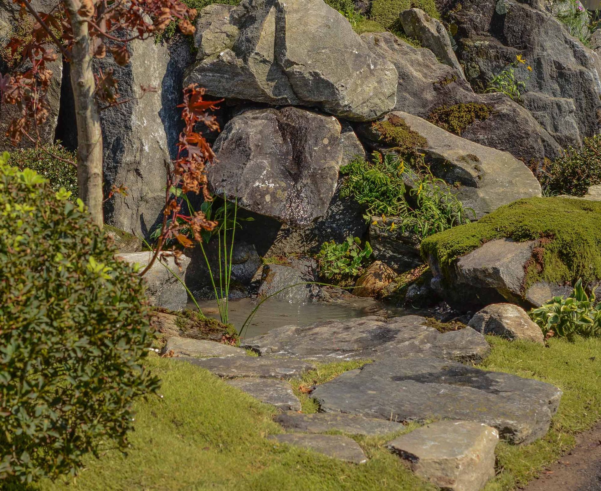 Una piccola cascata in mezzo a una zona rocciosa