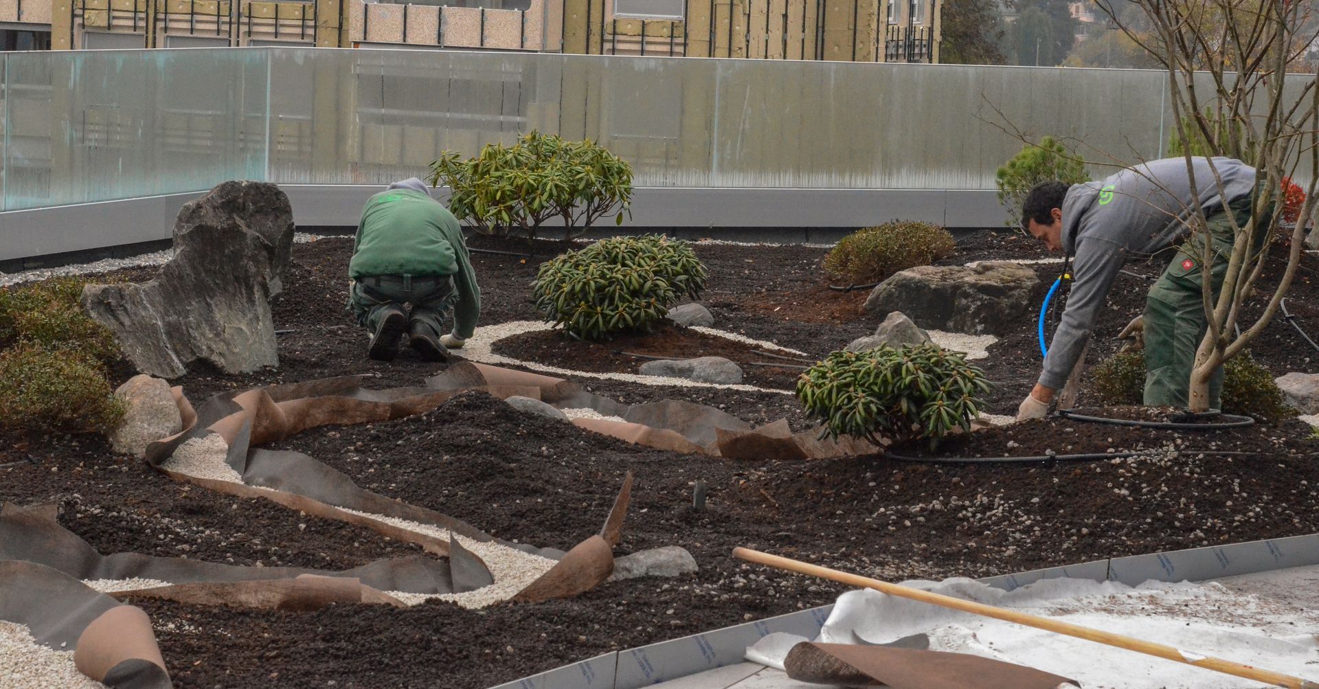 Un gruppo di persone sta lavorando in un giardino.