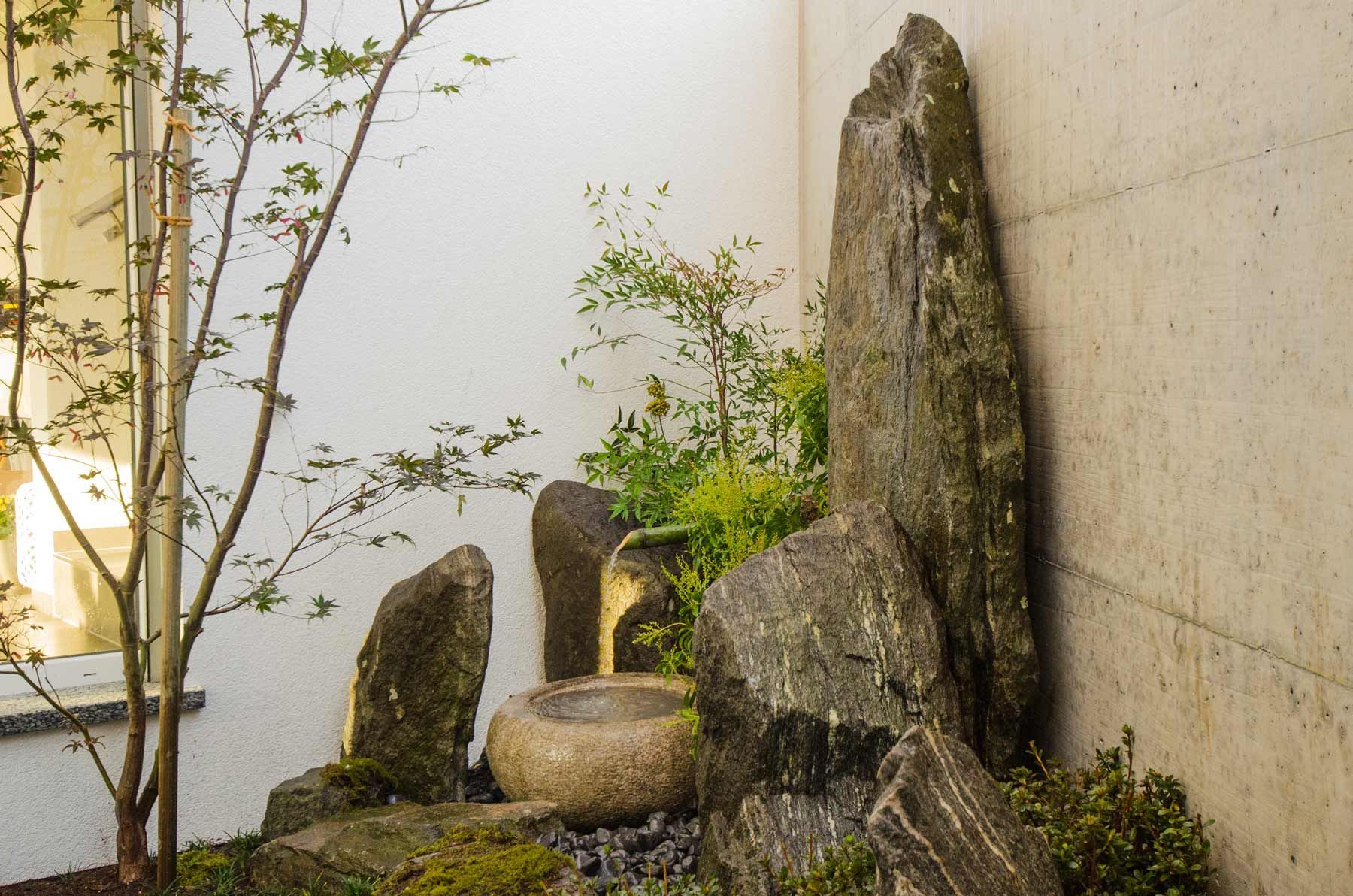 Un angolo di una stanza con un albero e delle rocce.