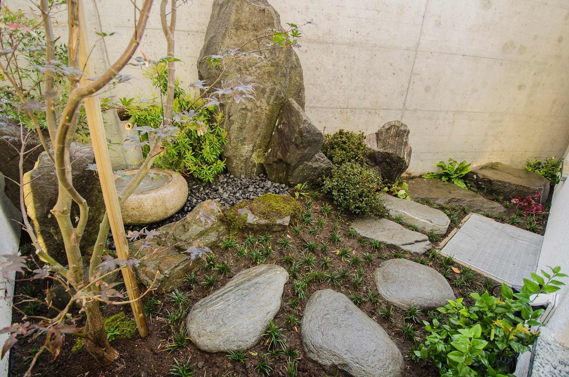 Un sentiero in pietra circondato da rocce e piante in un giardino.