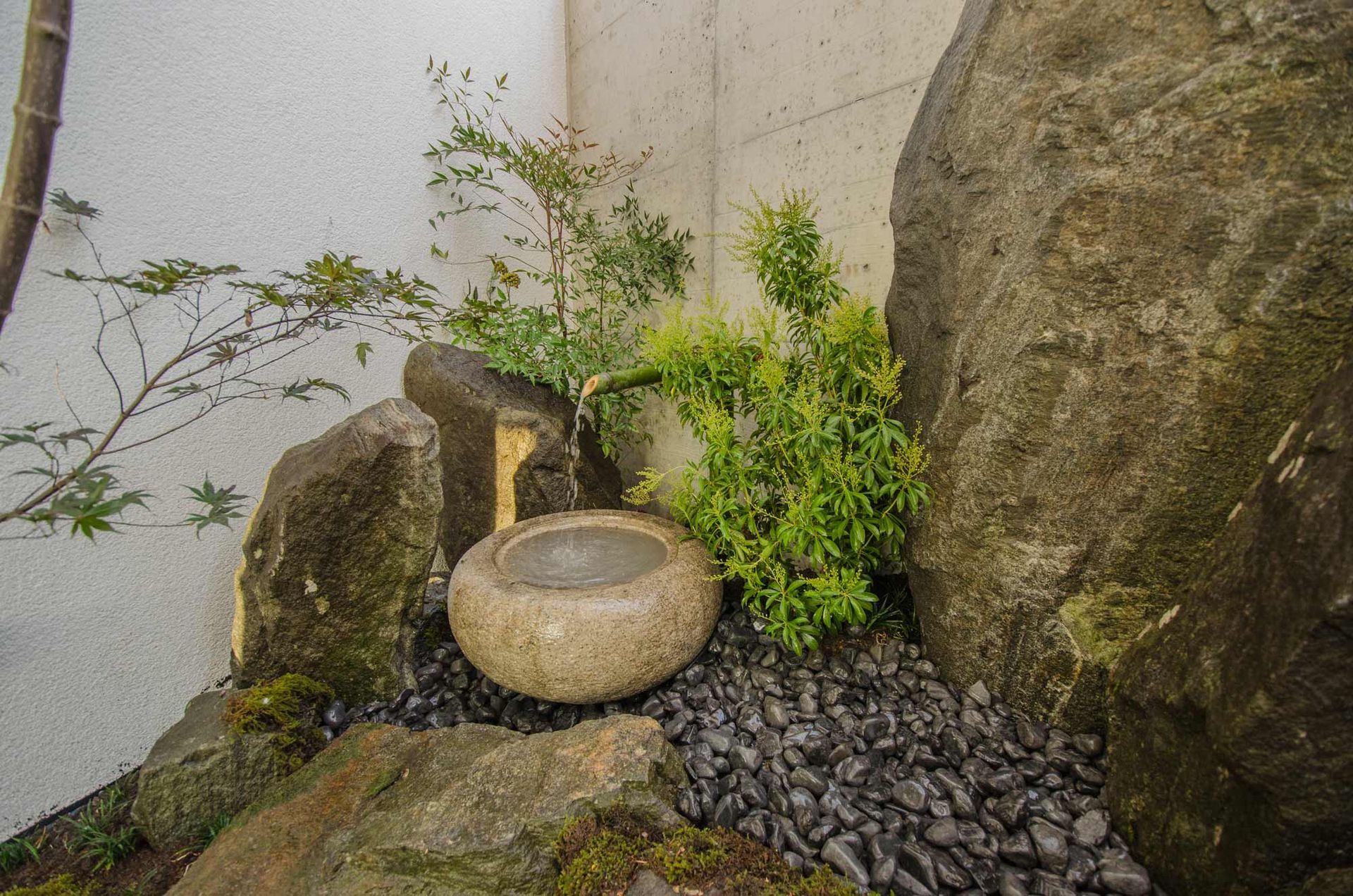 Una fontana di pietra è posta al centro di un giardino roccioso.