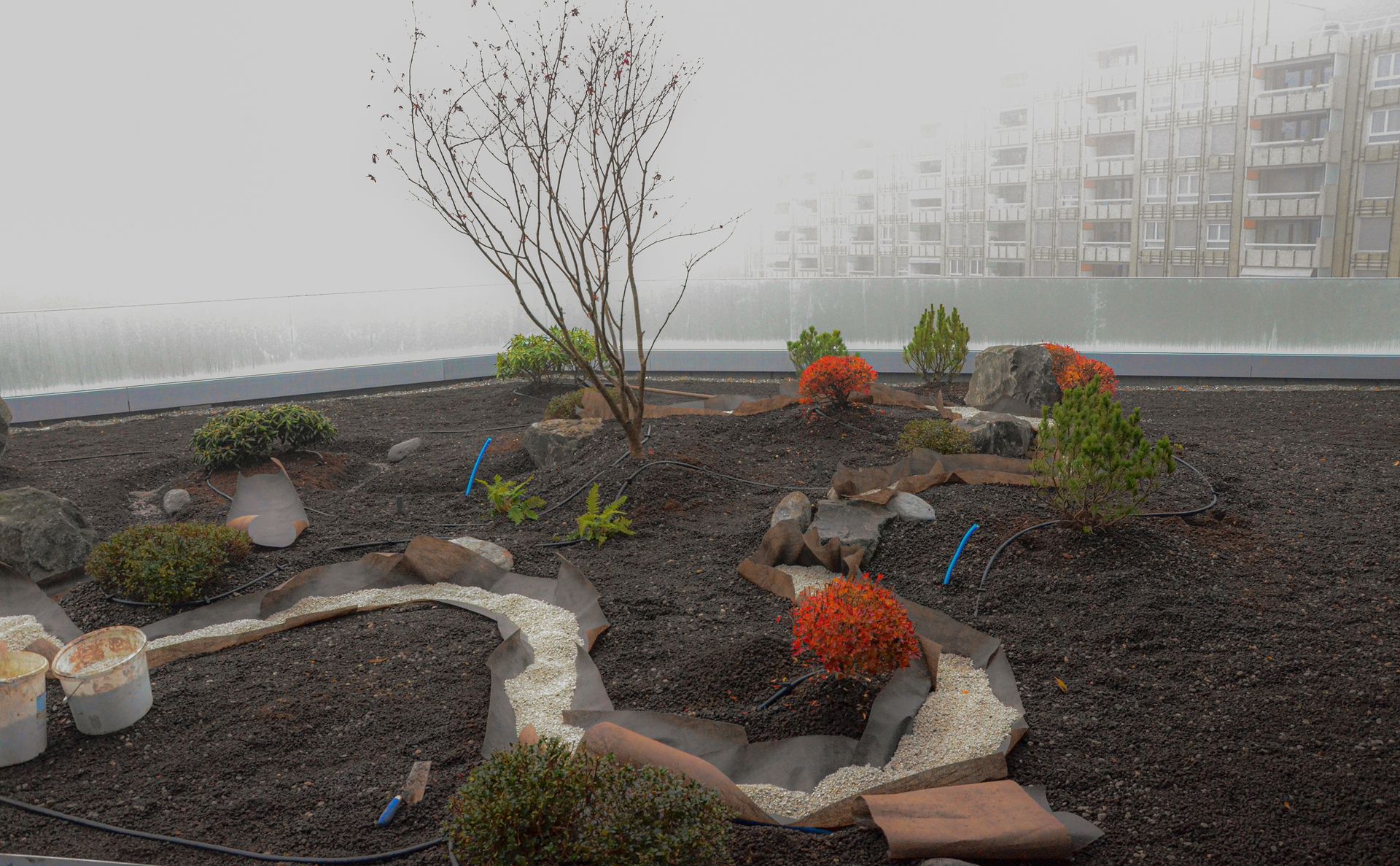 Un giardino con un albero e fiori sotto la pioggia con un edificio sullo sfondo.