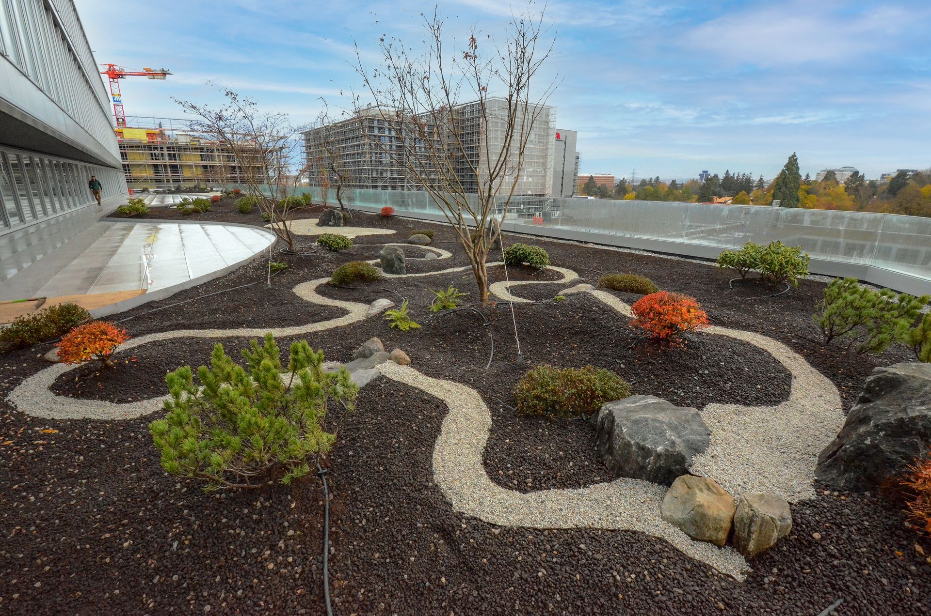 Un giardino sul tetto di un edificio con alberi e rocce
