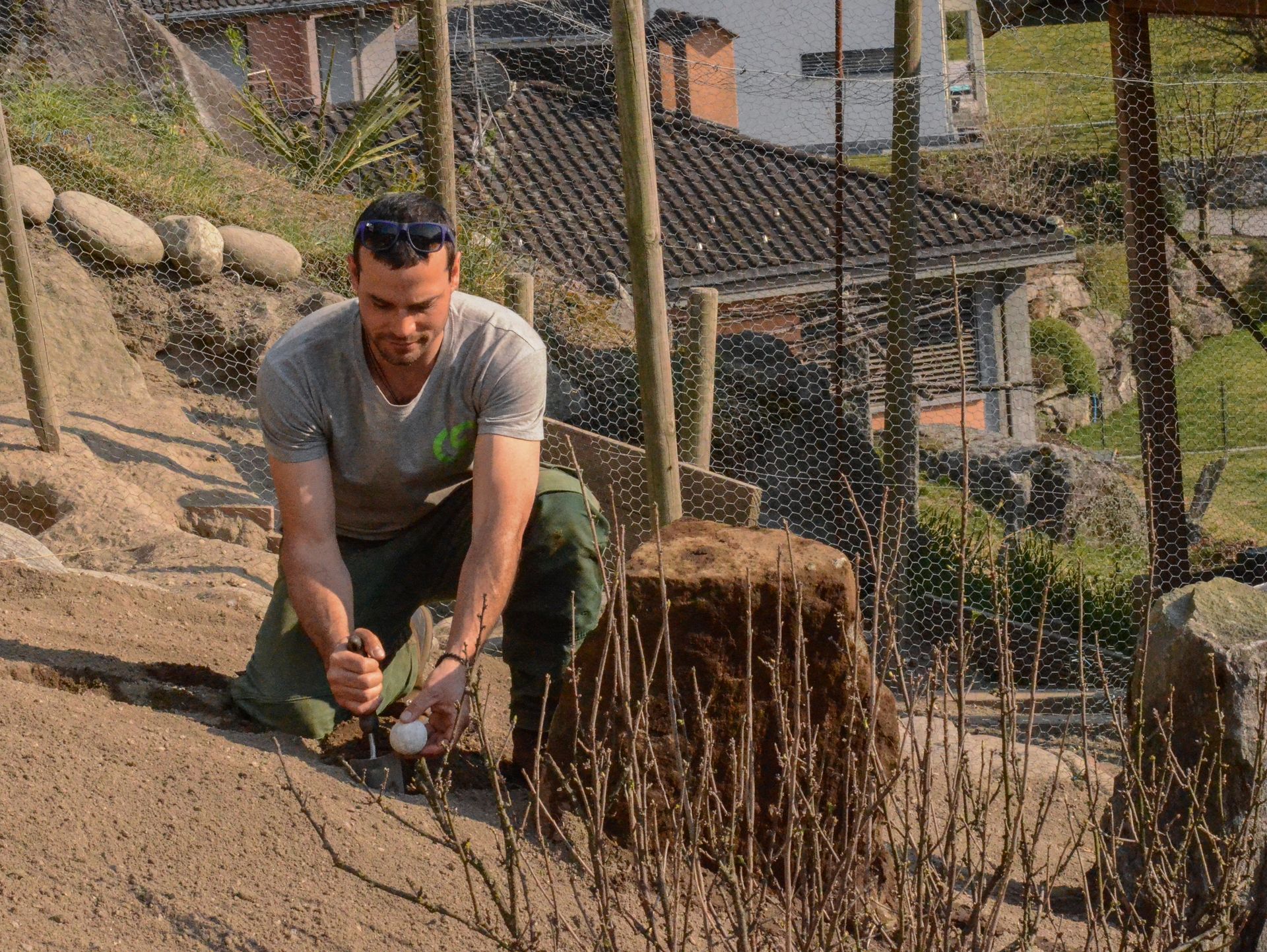 Un uomo è inginocchiato accanto a un ceppo d'albero allestendo un giardino energetico.