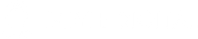 Doyle Digital, LLC logo in all white