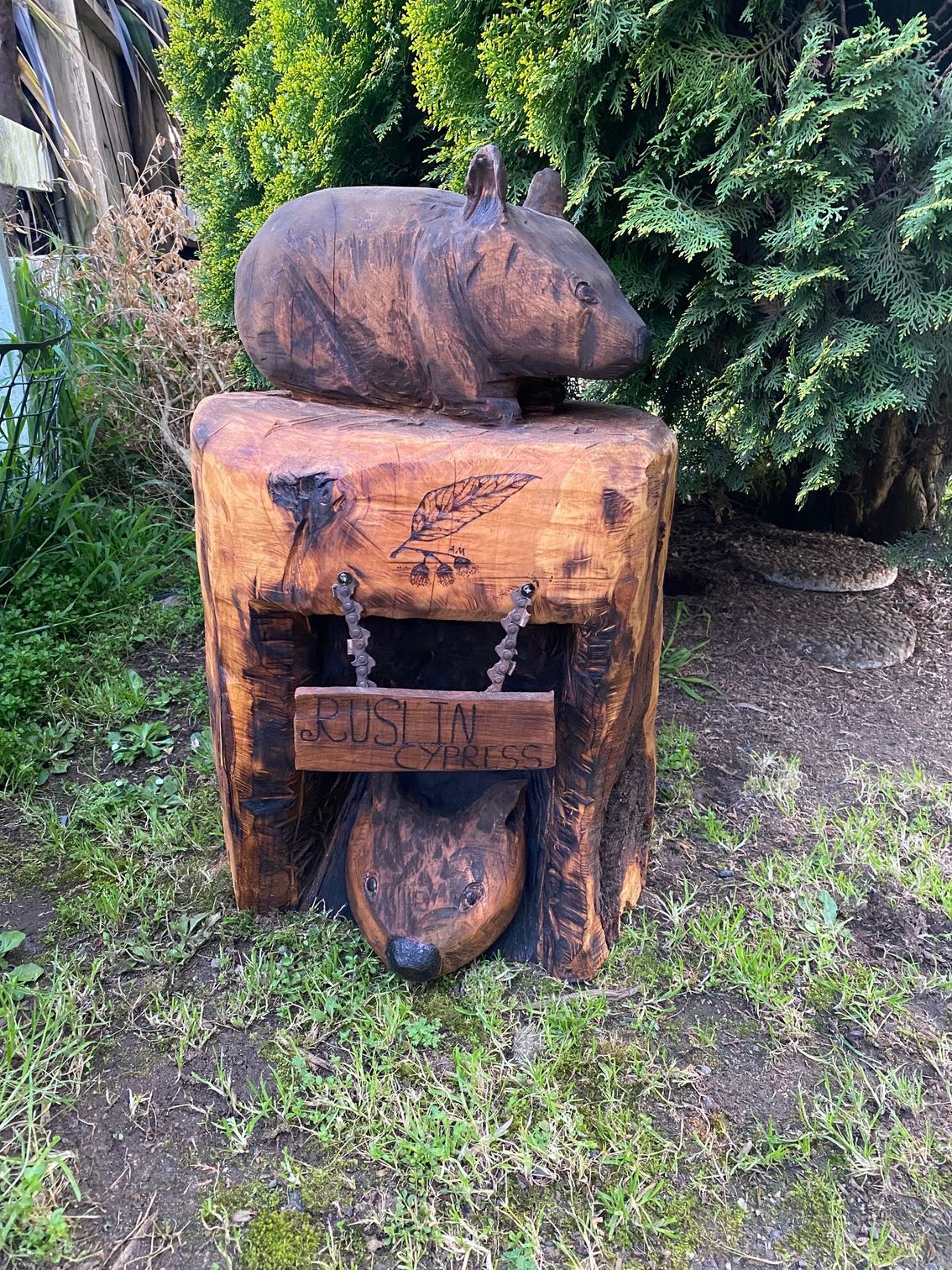 wooden benches in the park