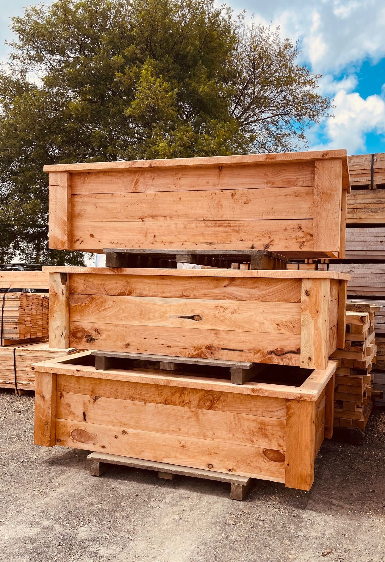quality wood timber storage in the forest
