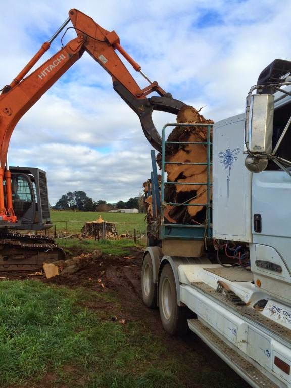 moving timber through transport