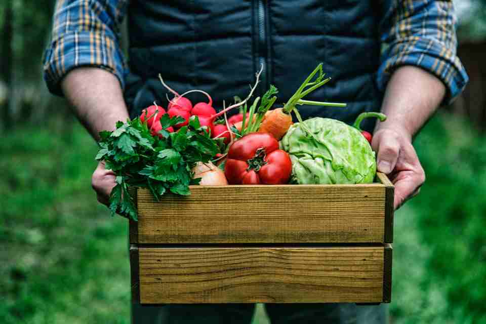 a man using wooden box for holding vegetables