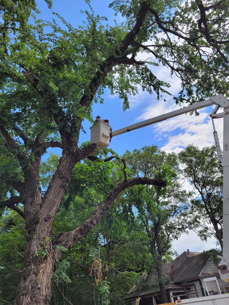 Stump Removal — Jones, OK — Slawson’s Tree Service