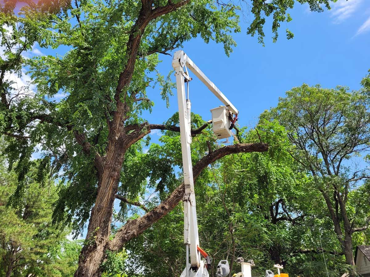 Tree Services — Jones, OK — Slawson’s Tree Service