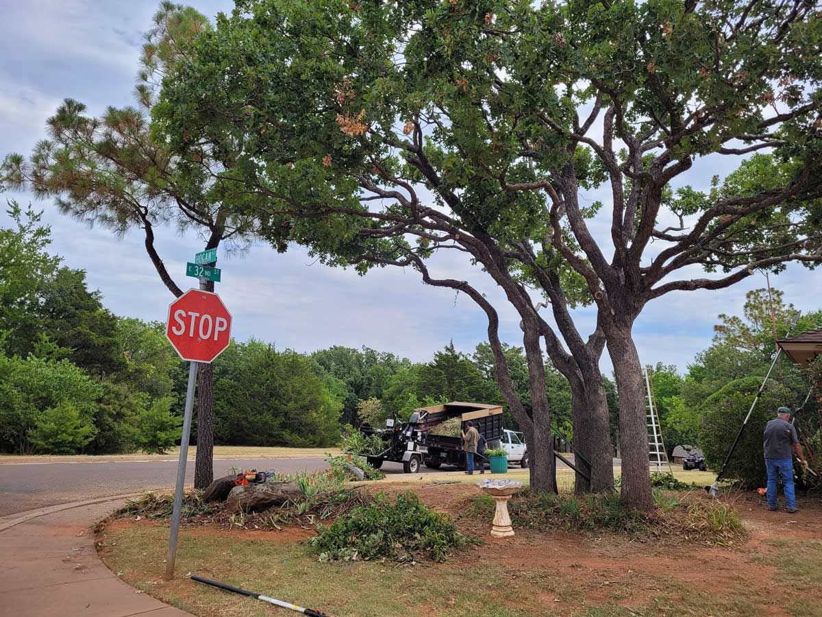 Tree Trimming Services — Jones, OK — Slawson’s Tree Service