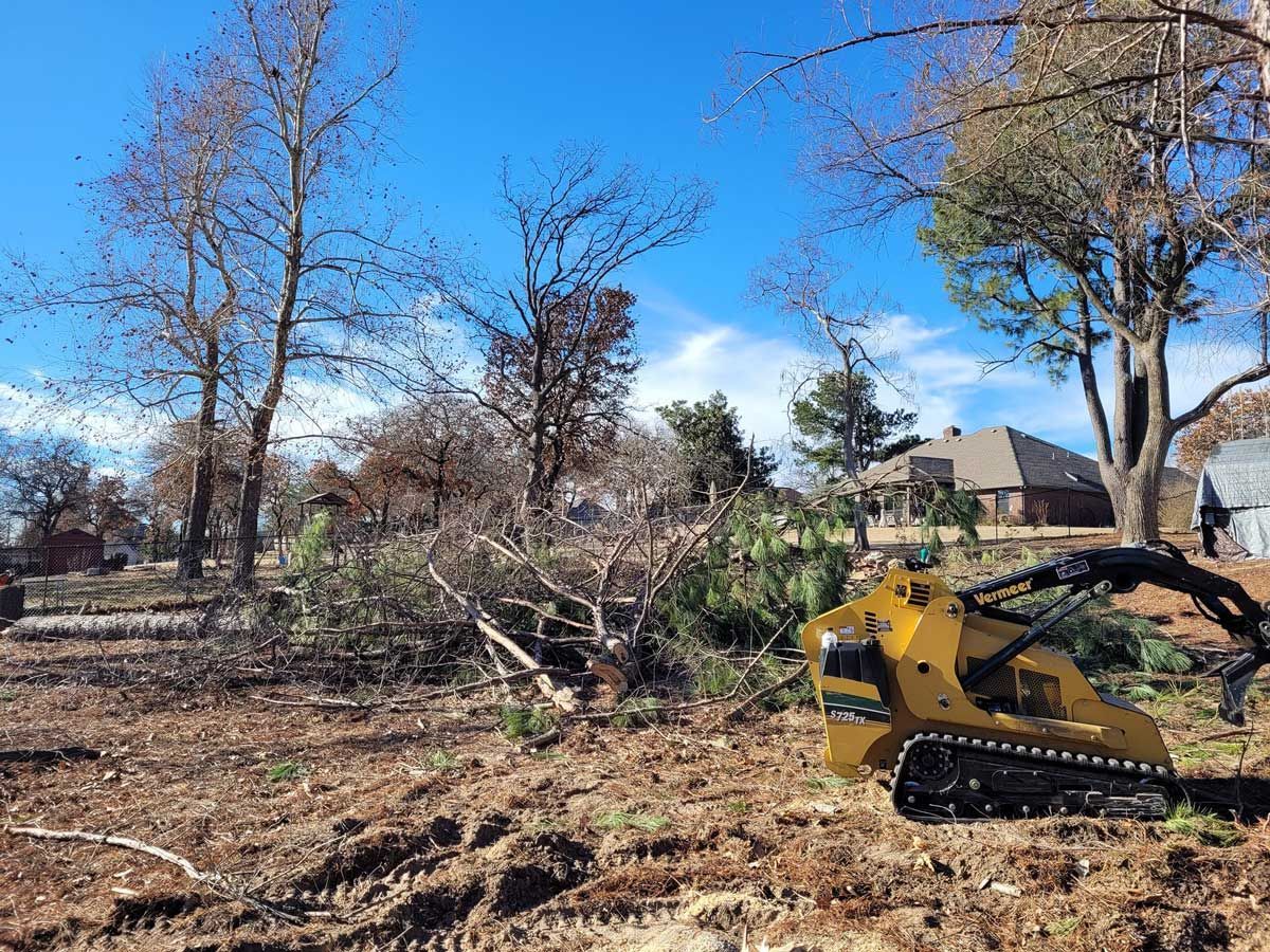 Tree Removal — Jones, OK — Slawson’s Tree Service