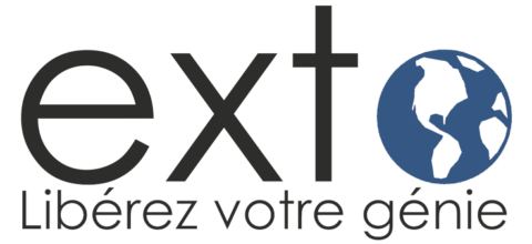 Un logo pour une entreprise appelée ext avec un globe au milieu